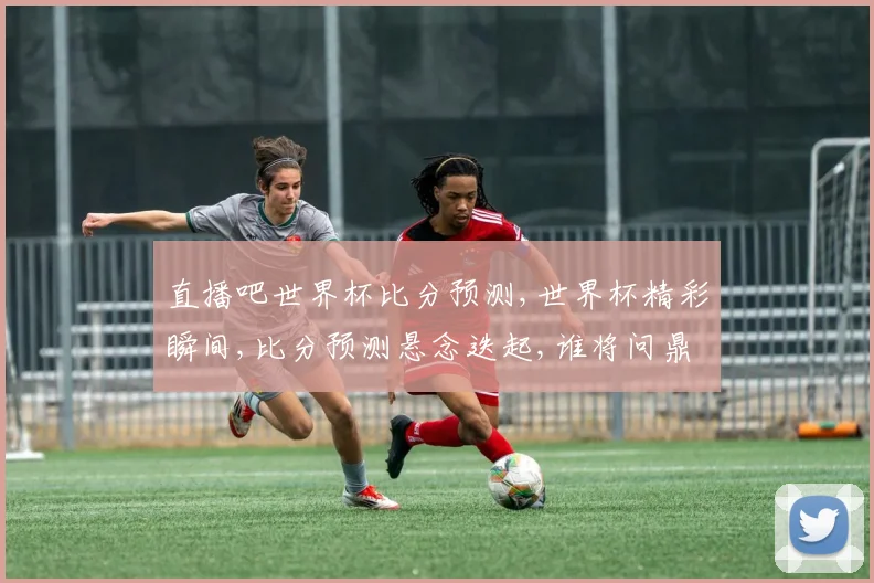 直播吧世界杯比分预测,世界杯精彩瞬间,比分预测悬念迭起,谁将问鼎冠军
