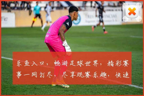 乐鱼入口，畅游足球世界，精彩赛事一网打尽，尽享观赛乐趣，快速登录体验