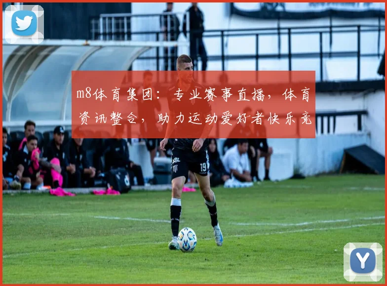 m8体育集团：专业赛事直播，体育资讯整合，助力运动爱好者快乐竞技，尽享运动激情