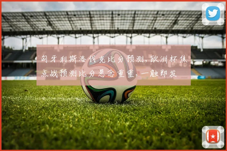 匈牙利斯洛伐克比分预测,欧洲杯焦点战预测比分悬念重重,一触即发
